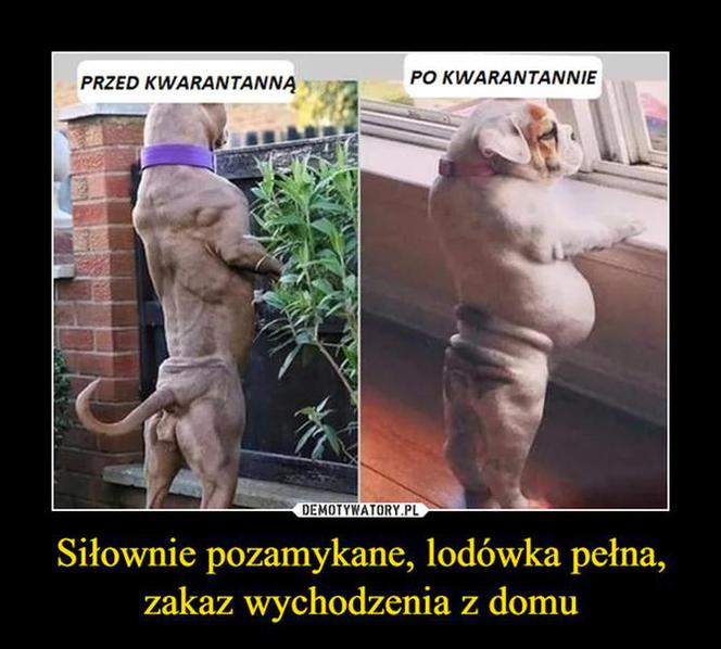 Zamknięcie siłowni, koniec z zajęciami fitness [MEMY]