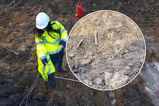 Kości odkopane na budowie metra! Do kogo należą?