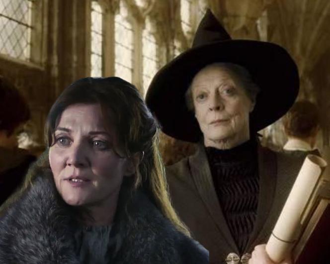 Michelle Fairley jako Minerwa McGonagall