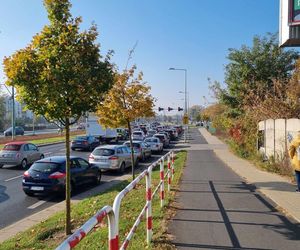 Korki i pełne parkingi. Tak wygląda sobota przed cmentarzem na Junikowie