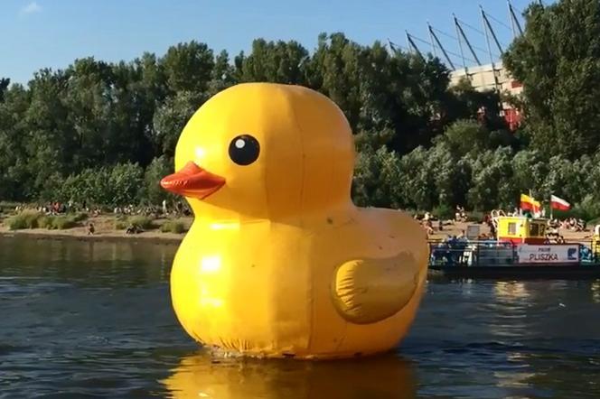 Akademii Duckie Deck - kiedy w 2018 spotkamy żółtą kaczkę? 