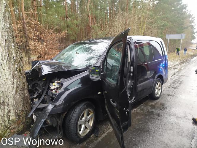 Dąbrówka Nowa. Samochód roztrzaskał się na drzewie! 2 osoby trafiły do szpitala
