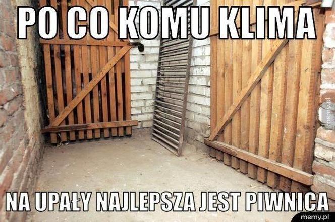 Do Polski dotarła fala gorąca. Te memy na temat upalnych dni rozbawią wszystkich do łez!