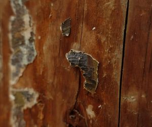 Przy remoncie Domu Ludowego odkryto cerkiew