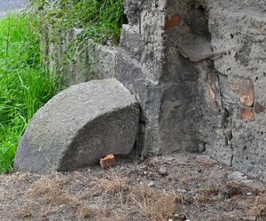 Torhaus - przysłupowy dom bramny z Działoszyna pod Bogatynią