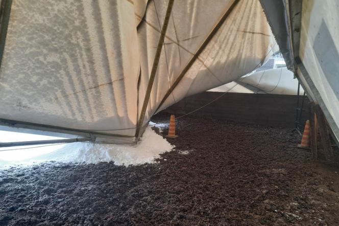 Zawaliła się hala namiotowa dla koni w Lipowej