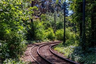 Boernerowo w Warszawie - zdjęcia drewnianego przedwojennego osiedla domów