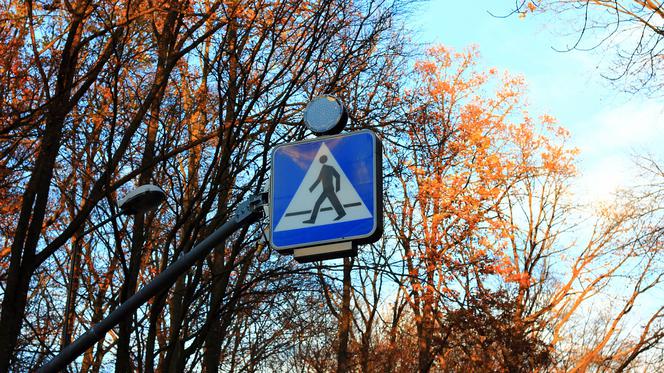 Drogowcy doświetlą kolejne przejścia dla pieszych w Bydgoszczy
