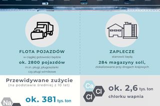 Drogowcy z GDDKiA meldują gotowość przed zimą 2024/2025