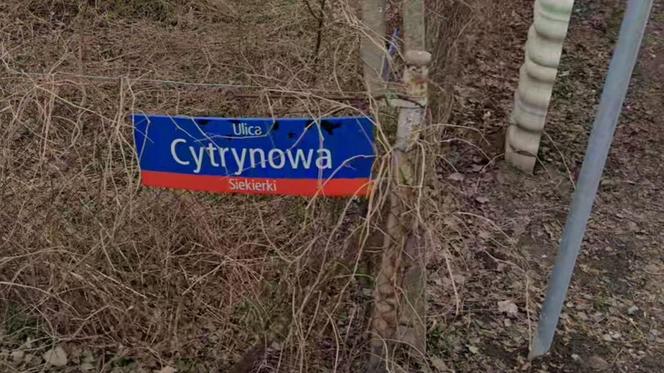 Oto "najsmaczniejsze" ulice w Warszawie