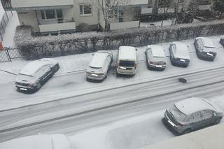 Śnieżyca w Toruniu. Biały krajobraz za oknami