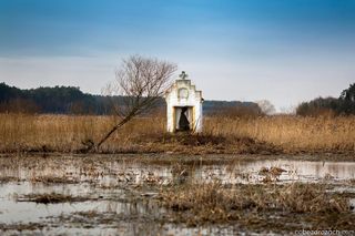 Kapliczka jak z thrillera w Łódzkiem. Położona jest na mokradłach, pośrodku niczego