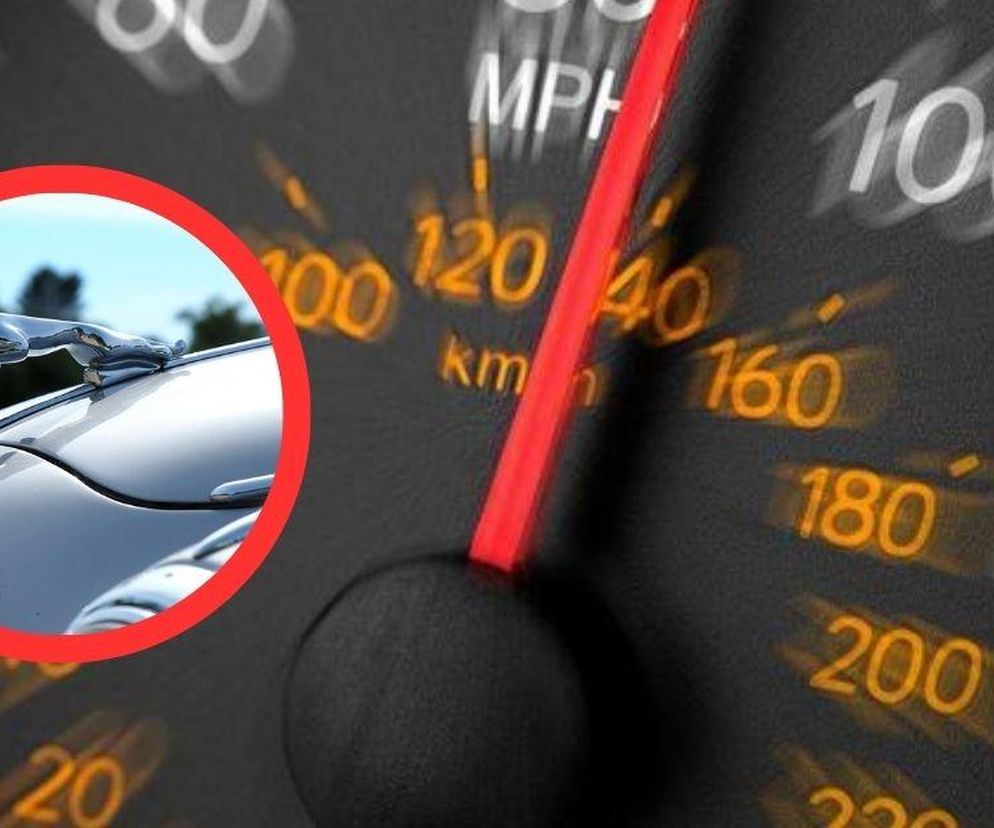 Pędził 120 km/h w obszarze zabudowanym. Szaleńcza jazda skończyła się odebraniem prawa jazdy 