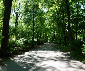 Tereny zielone na Podlasiu zagrożone! Tutaj zieleń przegrywa walkę z deweloperką