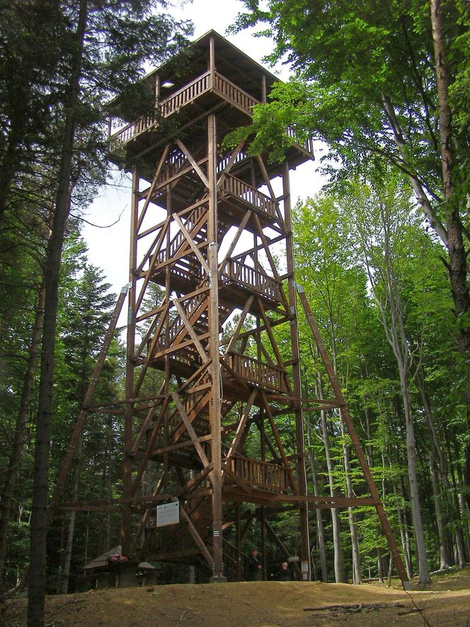  Wieża widokowa na Ferdlu (Beskid Niski) - 25 metrów wysokości 