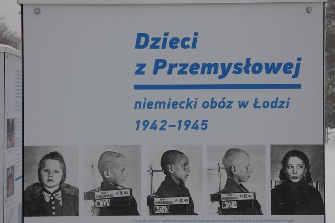 Ukryte życie parafii 19 lutego 2024