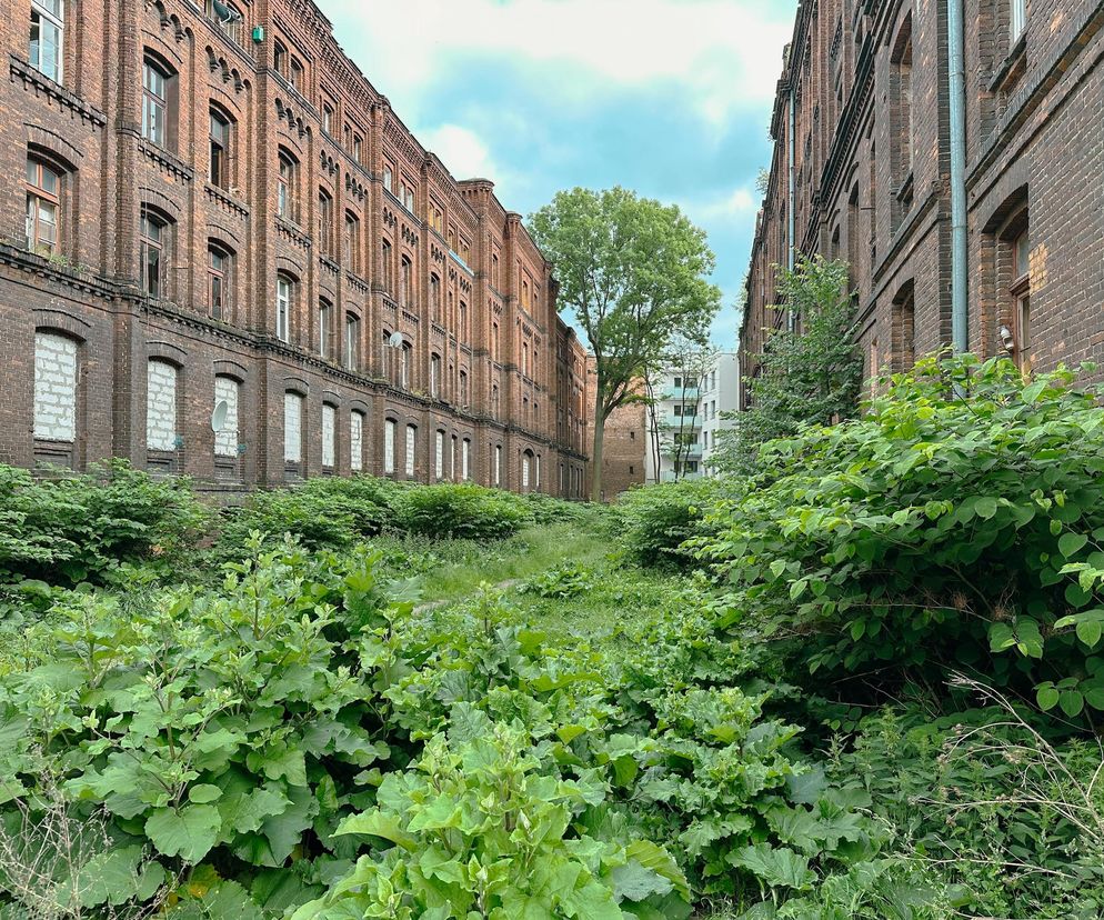 Łódzkie famuły w rękach Arche. W ciągu najbliższych 5 lat mają stać się kolejną wizytówką podejścia Grupy Arche do renowacji zabytków