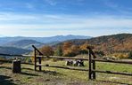 Małopolskie pasmo górskie zachwyca jesiennym pięknem. Ukryta perełka z widokiem na tatry 