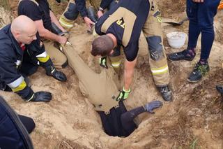 Dramatyczny finał za kotem. Jagódka utknęła głęboko pod ziemią