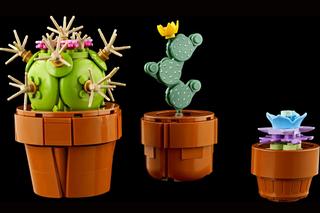 LEGO Icons: Małe roślinki. Świeżutki zestaw klocków, który uczy, bawi i zachwyca! [ZDJĘCIA] 