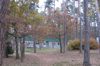Bachotek