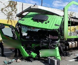 Tragedia na S8: 22-latek celowo wjechał pod ciężarówkę? Prokuratura prowadzi śledztwo