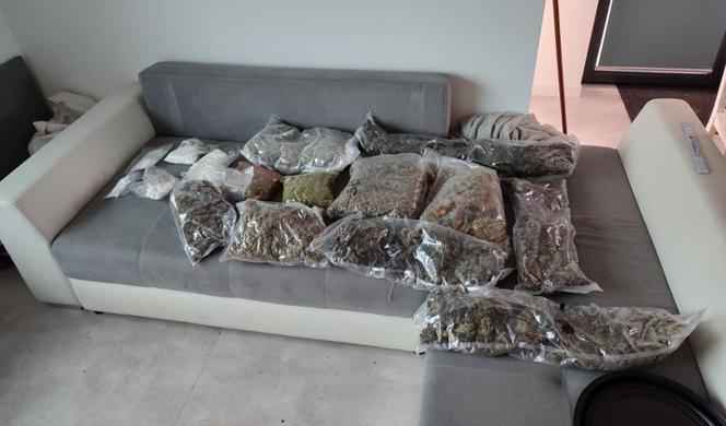 Wielka akcja policji z Płocka! Mundurowi znaleźli 20 kg narkotyków [ZDJĘCIA]