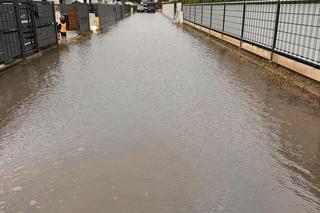 Ponad 100 interwencji żorskich strażaków podczas ataku żywiołu