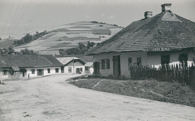 Brzózka