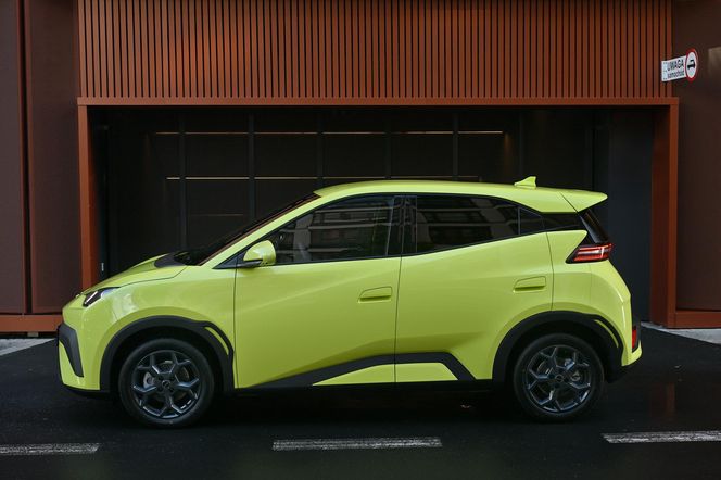 BYD DOLPHIN SURF
