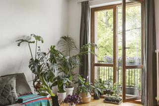 Dwupokojowe mieszkanie Oli i Przemka na poznańskich Jeżycach – słoneczny salonik