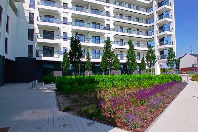 Nowe osiedle i bulwar na Łasztowni