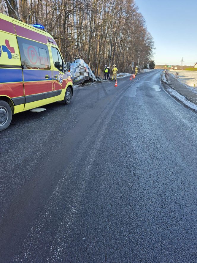 Dwa samochody wypadły z drogi koło Wojnowic niedaleko Leszna