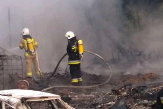 Dramat w Łódzkiem: Koń spłonął żywcem w ogromnym pożarze ośrodka wypoczynkowego!