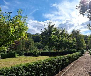 Arboretum Bramy Morawskiej zachwyca jesienią