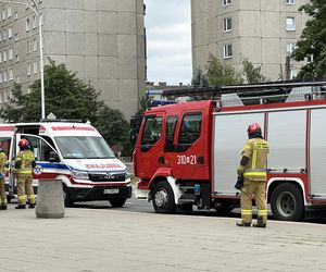 Horror na przystanku autobusowym w Warszawie. Upadł na ziemię i zmarł. Reanimacja nie przyniosła skutku