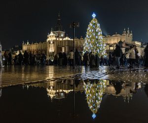 Najpiękniejsza choinka na świecie znajduje się w Polsce! Gdzie ją zobaczyć? 