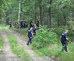 Tajemnicze zaginięcie 30-letniej Jowity. Kobieta wracała z pracy i zniknęła na leśnej drodze