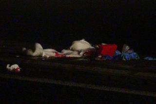 Śmiertelne potrącenie pieszego na DK92 w miejscowości Wójtówka