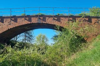 Ludzie sami wyrywają chaszcze na torach. Tak walczą o reaktywację linii kolejowej nr 241 z Tucholi do Koronowa