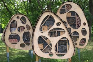 Drewniane hotele na Polu Mokotowskim znów będą gościć pszczoły i motyle [AUDIO]