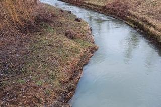 W rzece Tabor znaleziono ciało. Tragiczny finał poszukiwań 48-latka