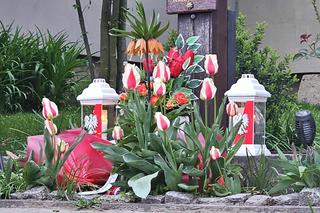 Uczcili pamięć ofiar katastrofy smoleńskiej