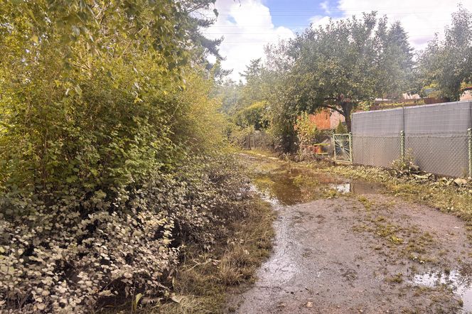 Szczecin. Działkowcy z Górek Ustowskich liczą straty