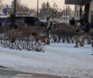 Brutalny morderca zatrzymany w Pruszkowie. Zwłoki swojej ofiary schował w wersalce. W trakcie ucieczki potrącił policjanta