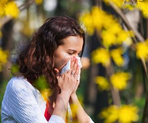 Co pyli w czerwcu? Alergia w czerwcu. Co uczula w czerwcu alergików?