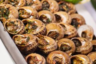 Dawniej ślimakami zajadano się, jak dziś schabowymi. Wbrew pozorom to tradycyjne danie! 