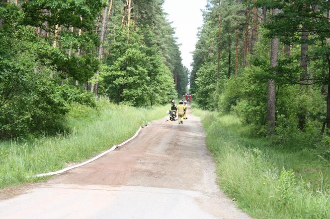 Ćwiczenia służb ratowniczych w Starachowicach (czerwiec 2024)