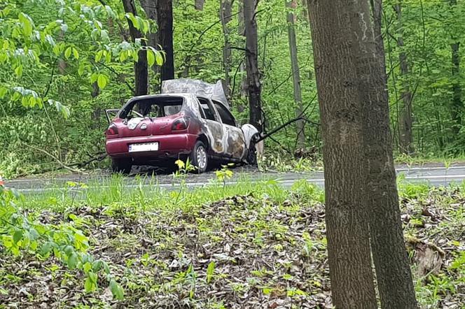 KOSZMARNY wypadek w Rudzie Śląskiej! 80-latek wjechał w drzewo, auto stanęło w płomianiach!