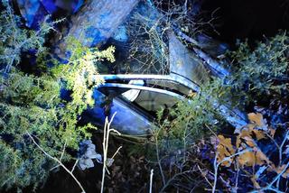 Piła: Zakrwawiony 15-latek wyszedł z lasu. W nocy pijany ukradł auto i roztrzaskał je na drzewie [ZDJĘCIA]